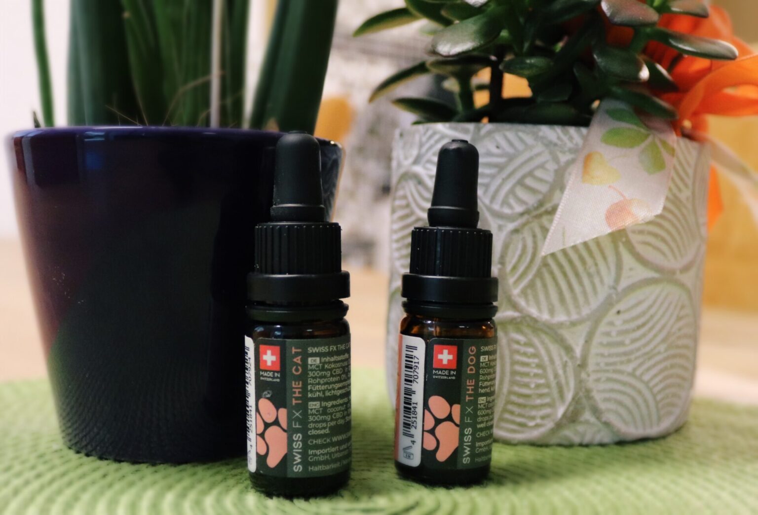 CBD Öl für Hund & Katz im Test {Werbung} Pfötchentraining