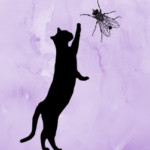 Jagd(spiele) bei Katzen