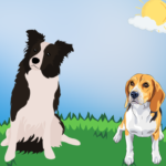 Hütehund vs. Jagdhund