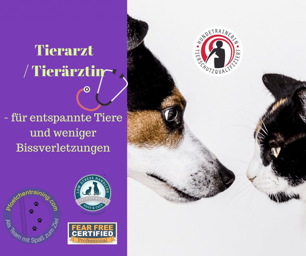 Tierarzt/Tierärztin