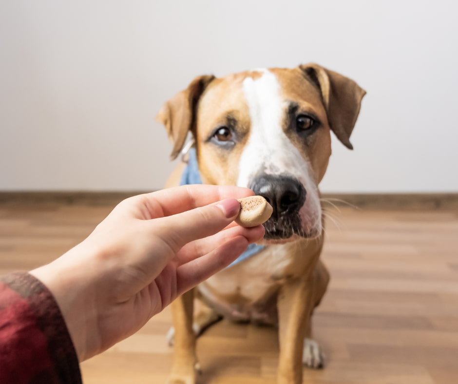 Giftkoder-Pravention