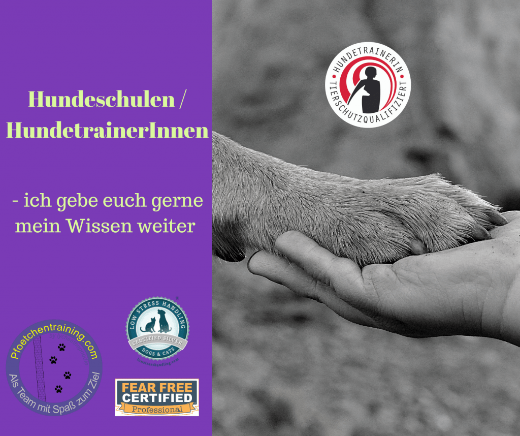 Hundetrainer, Hundeschulen