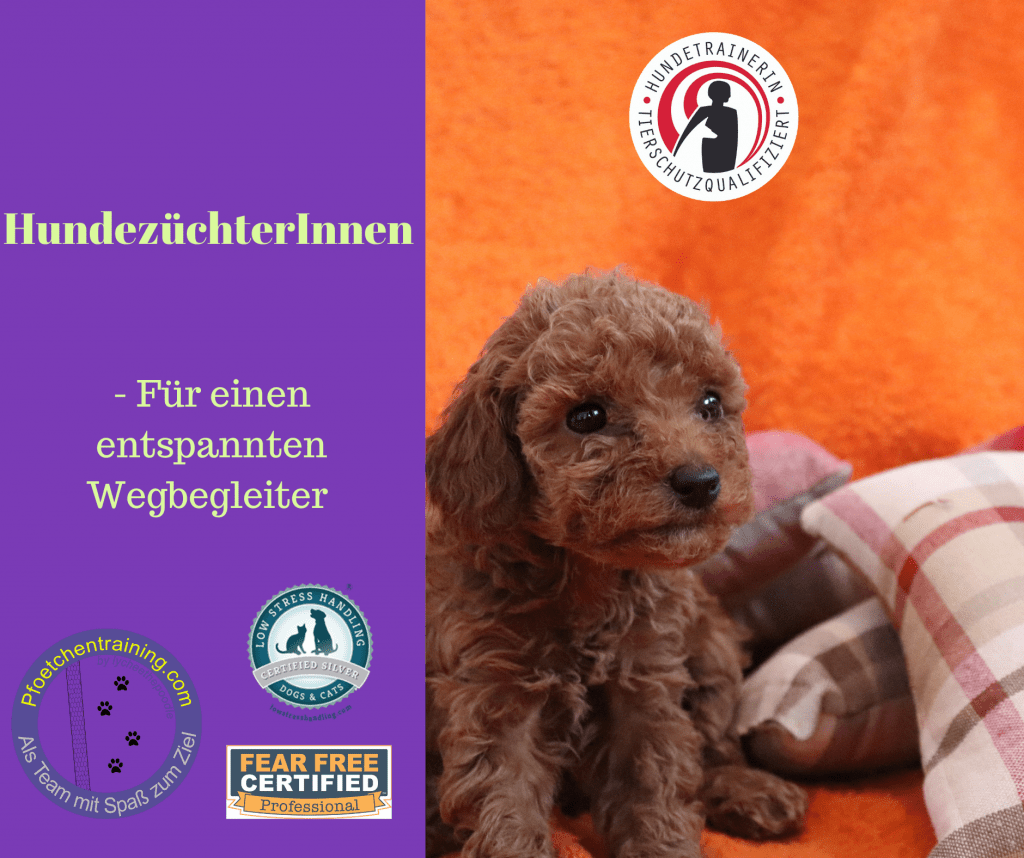 HundezuchterInnen - Hundezüchter werden
