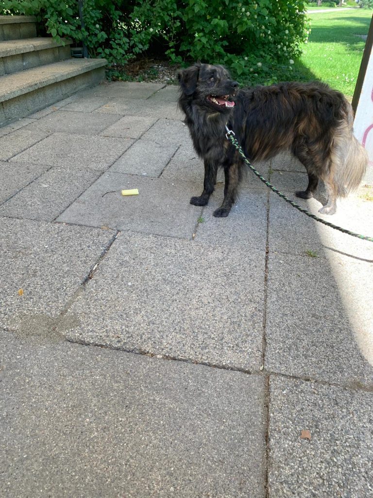 Giftkoder-Pravention