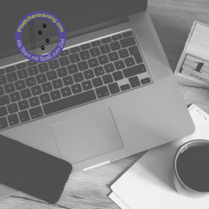 Webinaraufzeichnungen