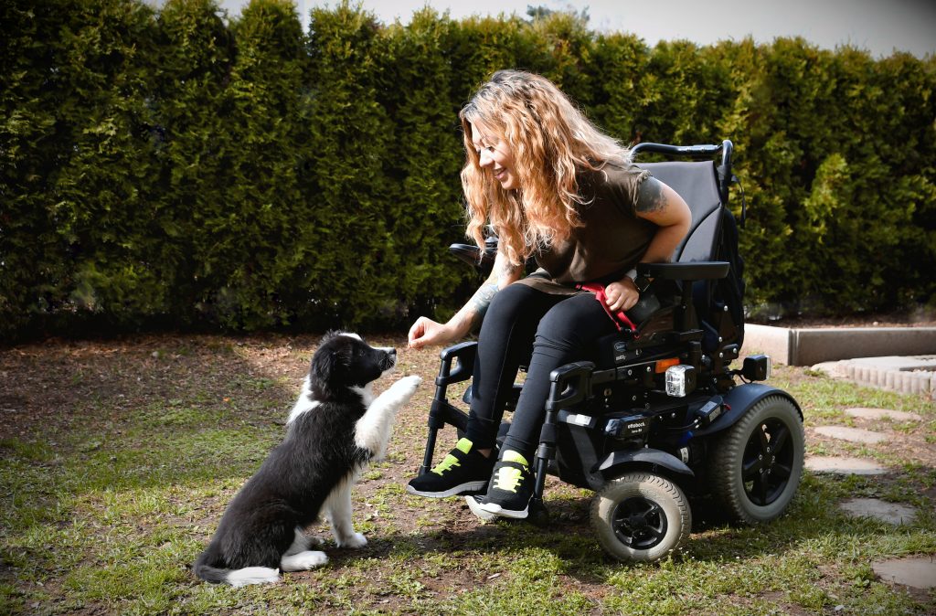 Coachingangebote Pfötchentraining