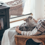 Die 3 häufigsten Fehler in der Katzenerziehung