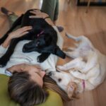 Hunde als Stresskiller